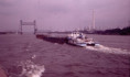 /album/fotogalerij-januari-2023-a/scan10201-jpg/